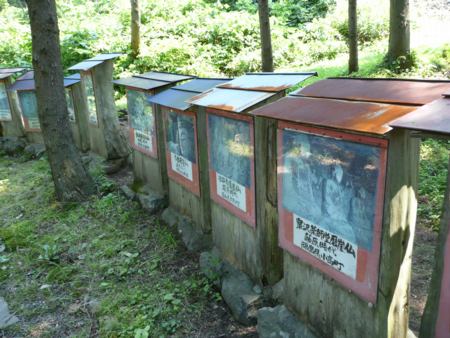 並んでいる何か