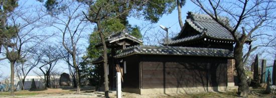 全景